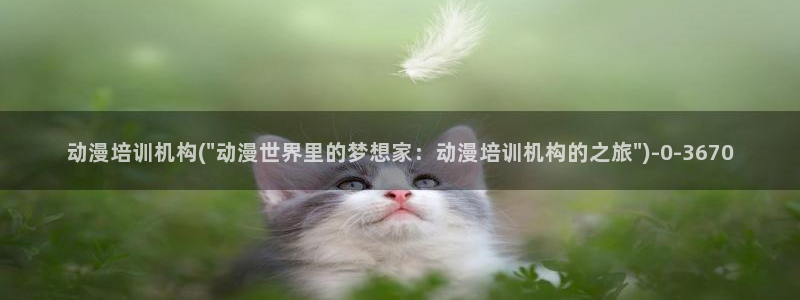 动漫版:动漫培训机构(\