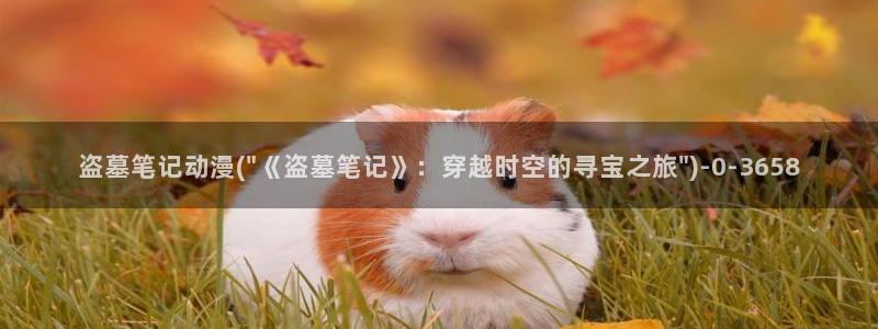 动漫排行榜:盗墓笔记动漫(\