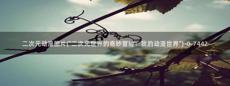 动漫小说:二次元动漫图片(\